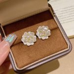 Sparkle Zircon Crystal Stud Earring ~ S925 Silver Needle Full Diamond Earrings E0115
