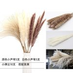 Dried Flower Bouquet 20-Piece Set 1